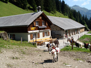 Unterkunft im Unterstafel